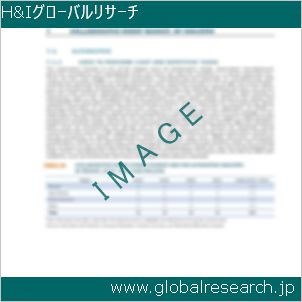 グローバルリサーチ調査レポートのイメージ